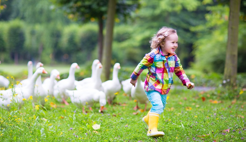 Bauernhöfe haben bereits an sich einen Charme, doch häufig handelt es sich um Höfe, die richtig betrieben werden. Hier ist nicht ausreichend Zeit und auch keine sichere Umgebung, um dort mit Kindern Urlaub zu machen. ( Foto: Shutterstock- FamVeld )