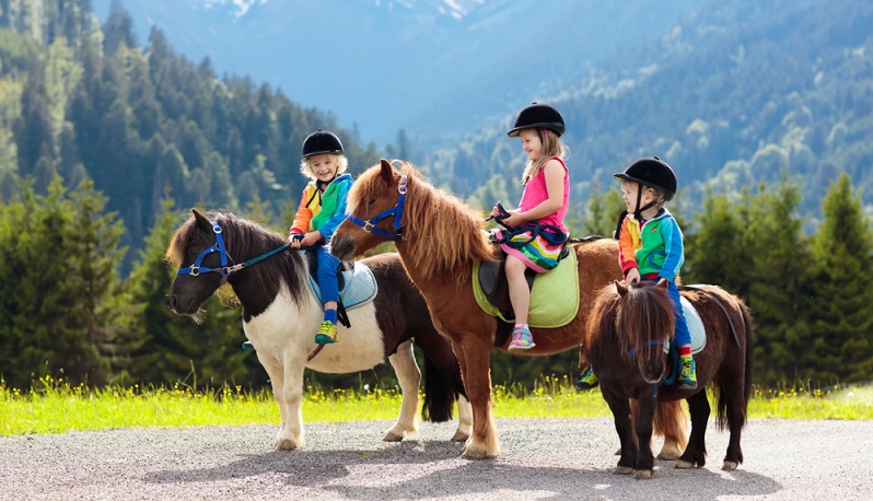 Das Hofprogramm für die Kinder ist sehr umfangreich gestaltet und bietet für die kleinen Gäste zahlreiche Möglichkeiten, um unvergessliche Erlebnisse zu sammeln.  ( Foto: Shutterstock- FamVeld )