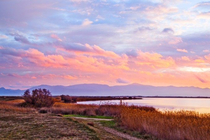 Am See "Étang de Canet" kann man lange Spaziergänge machen, die Natur genießen und einfach mal die Seele baumeln lassen (#2)