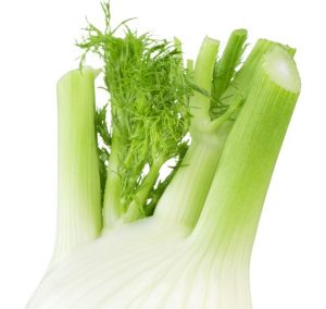 Fenchel ist oftmals ein sehr wirksames Mittel gegen ständiges Errbechen beim Kleinkind. (#1)