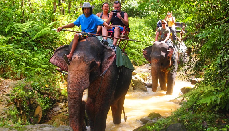 Der größte Nationalpark Khao Laks ist an Fülle von Eindrücken und spannenden Exkursionen kaum zu übertreffen.