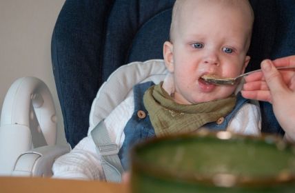 DGAKI und GPA empfehlen ausschließliches Stillen bis sechstem (Foto: AdobeStock - Sofia - 2159155434)
