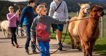 Digitale Themenwanderwege im Schwarzwald verbinden Technik, Wissen und (Foto: Hochschwarzwald Tourismus GmbH)