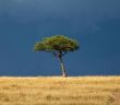 Starke Überschwemmungen in der Provinz Westkap (Foto: AdobeStock -  henk bogaard 436936928)